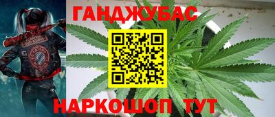 ALPHA PVP Канаш