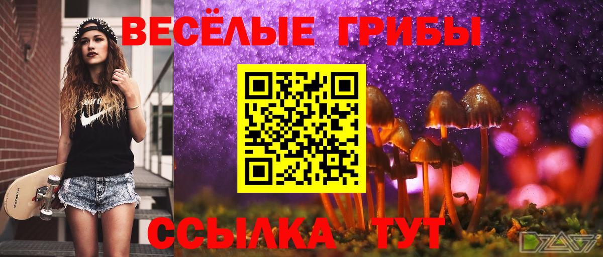 Галлюциногенные грибы мицелий Красноуфимск